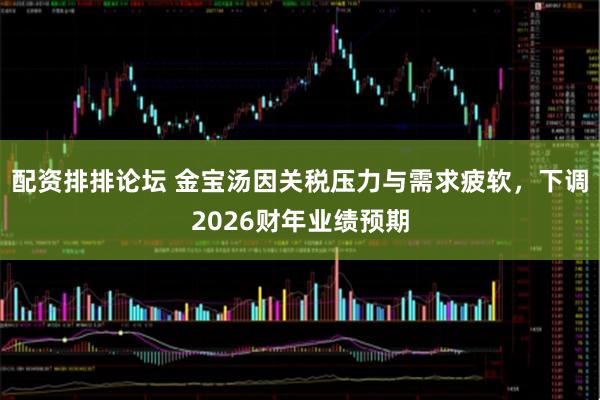 配资排排论坛 金宝汤因关税压力与需求疲软，下调2026财年业绩预期